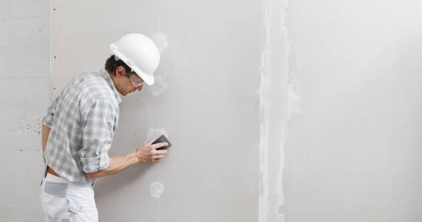 Best Mold Documentation for Insurance Claims  in Manasota Key, FL