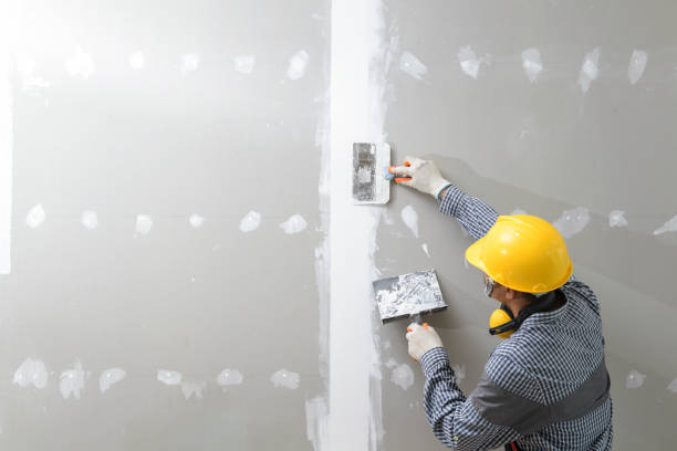Best Dehumidification Services  in Manasota Key, FL
