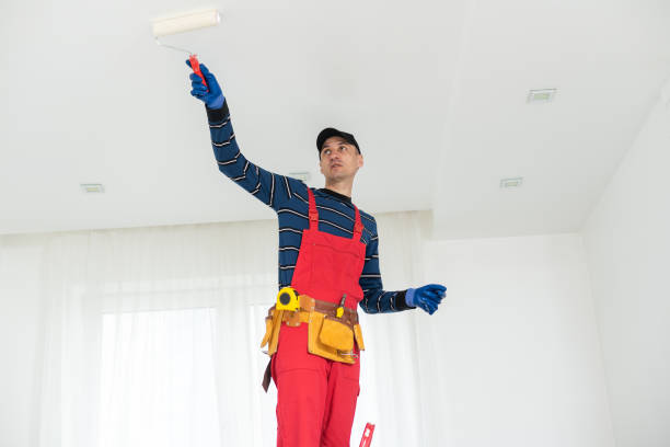 Best Mold Odor Removal Services  in Manasota Key, FL