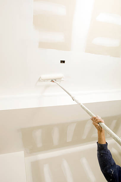 Reliable Manasota Key, FL Mold Removal Solutions